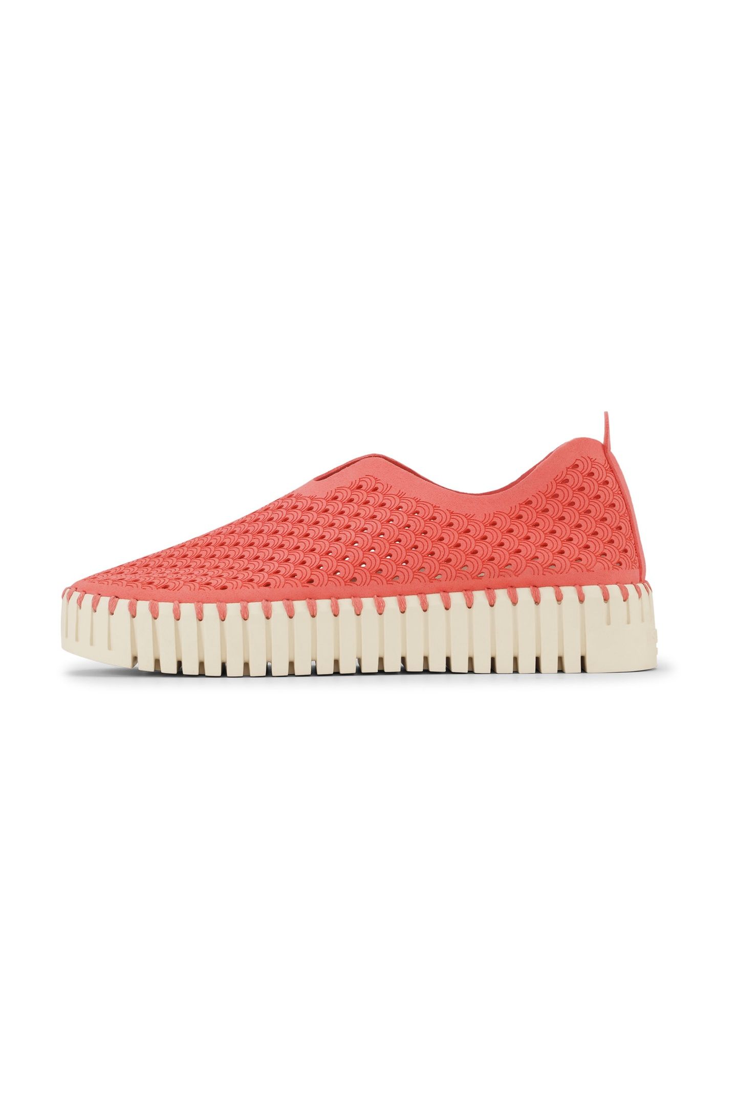 FLATS TULIP3373 RASPBERRY 3