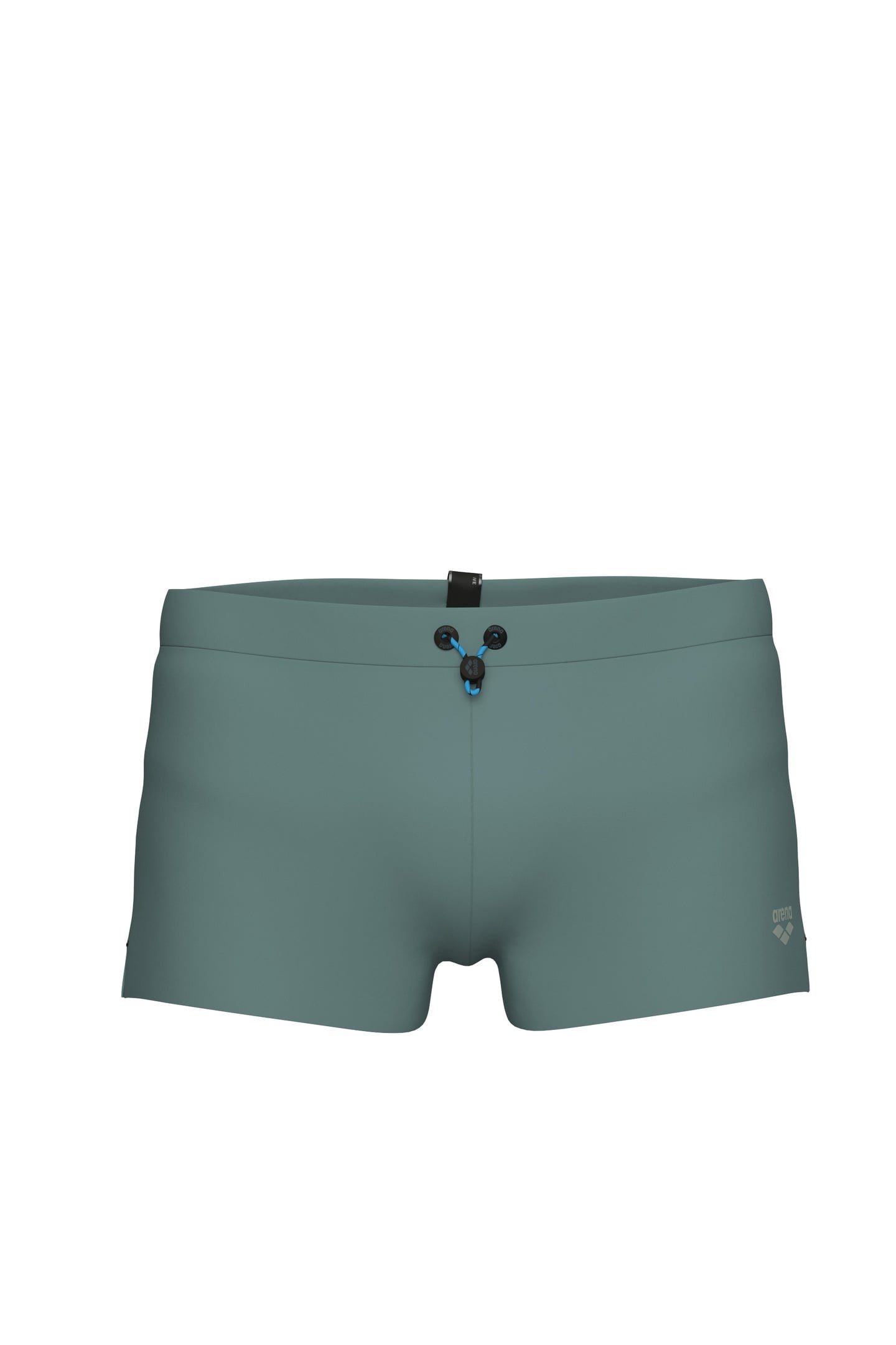 EVO SWIM SHORT SAGE 6