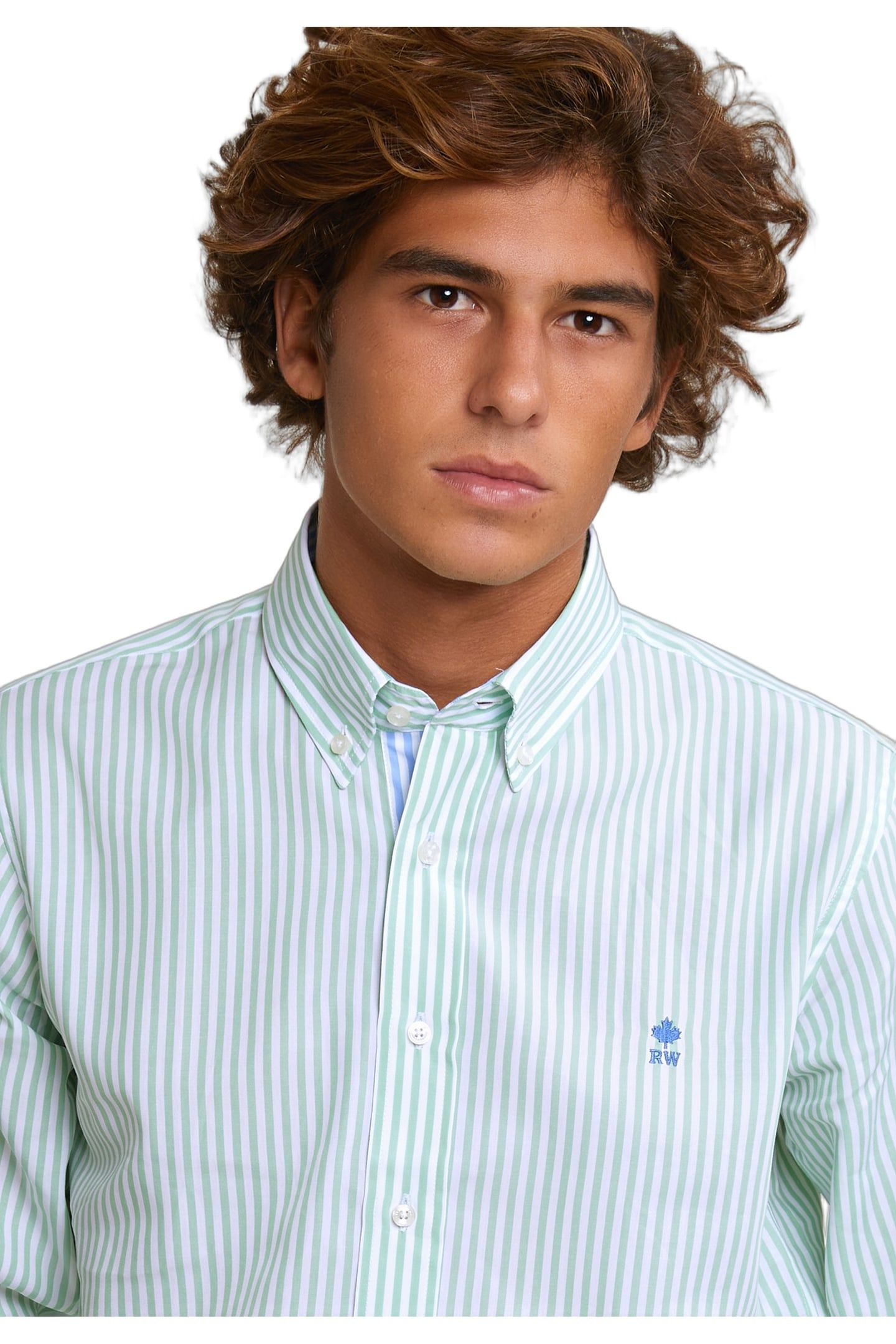 CUSTOM FIT STRIPED COTTON SHIRT GREEN/WHITE 3