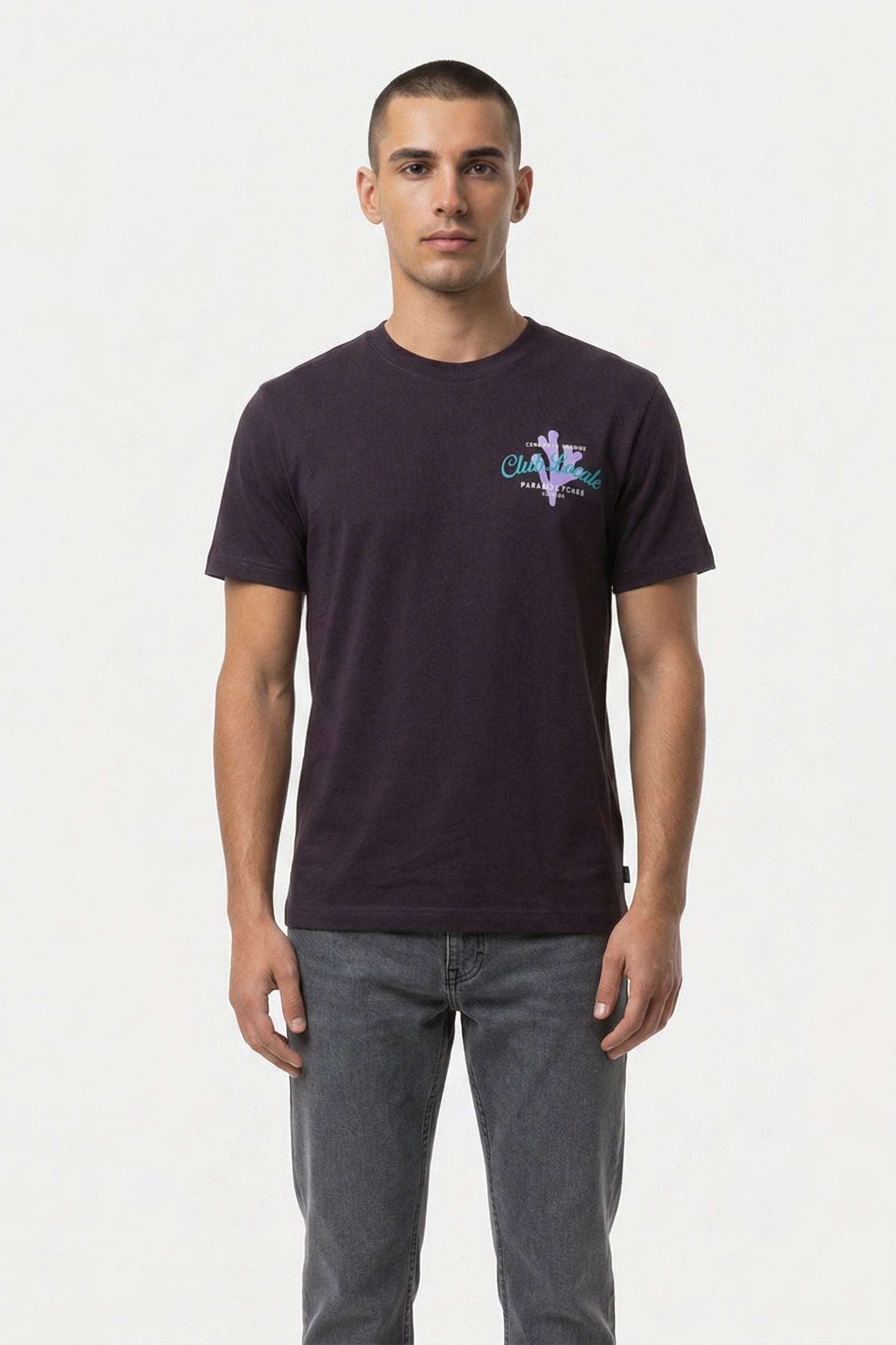 LIAM REGULAR T-SHIRT PARADISE PURPLE ROCK 1