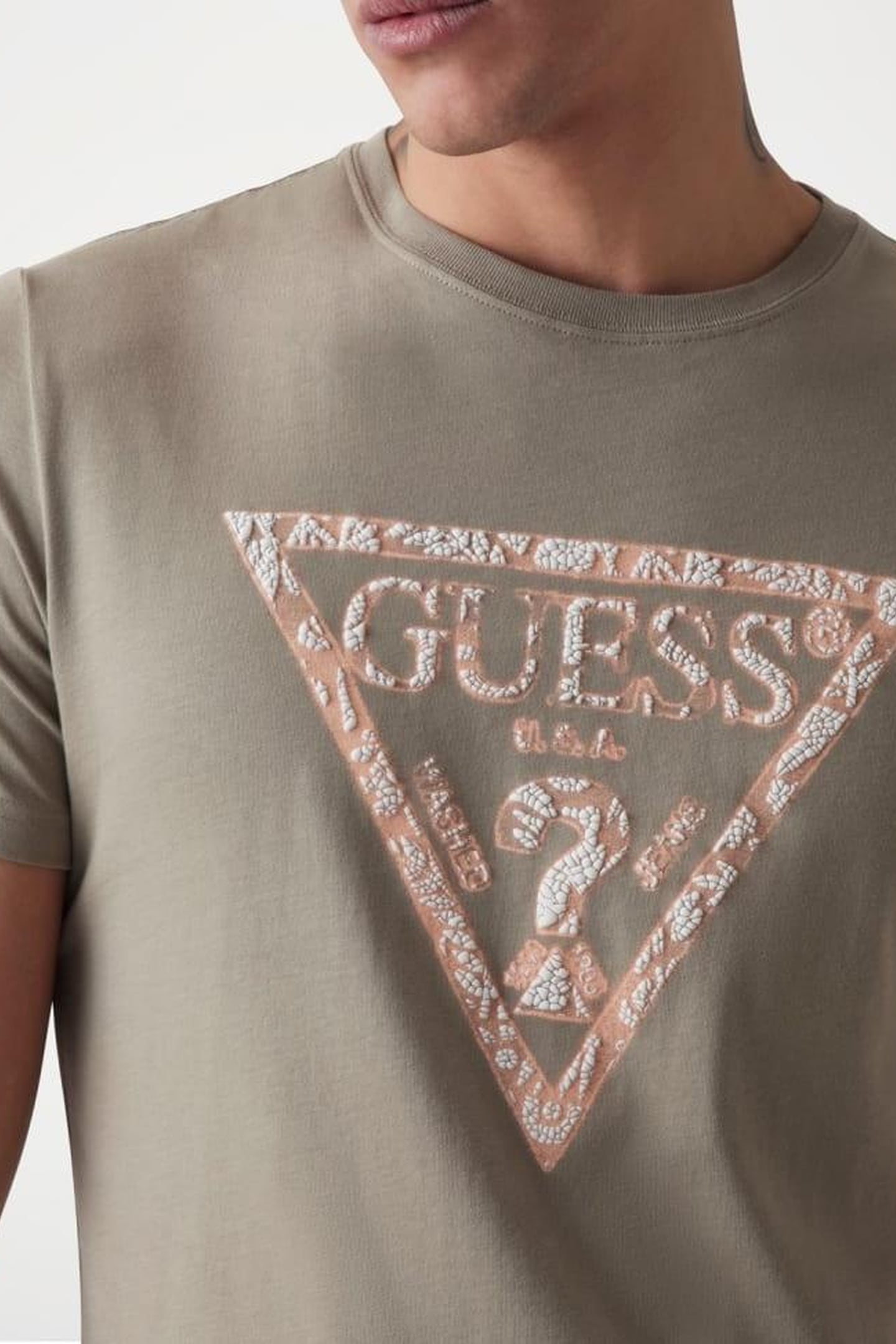 GUESS ECO SS CN TRIANGLE TEE SAGE PLANT 2