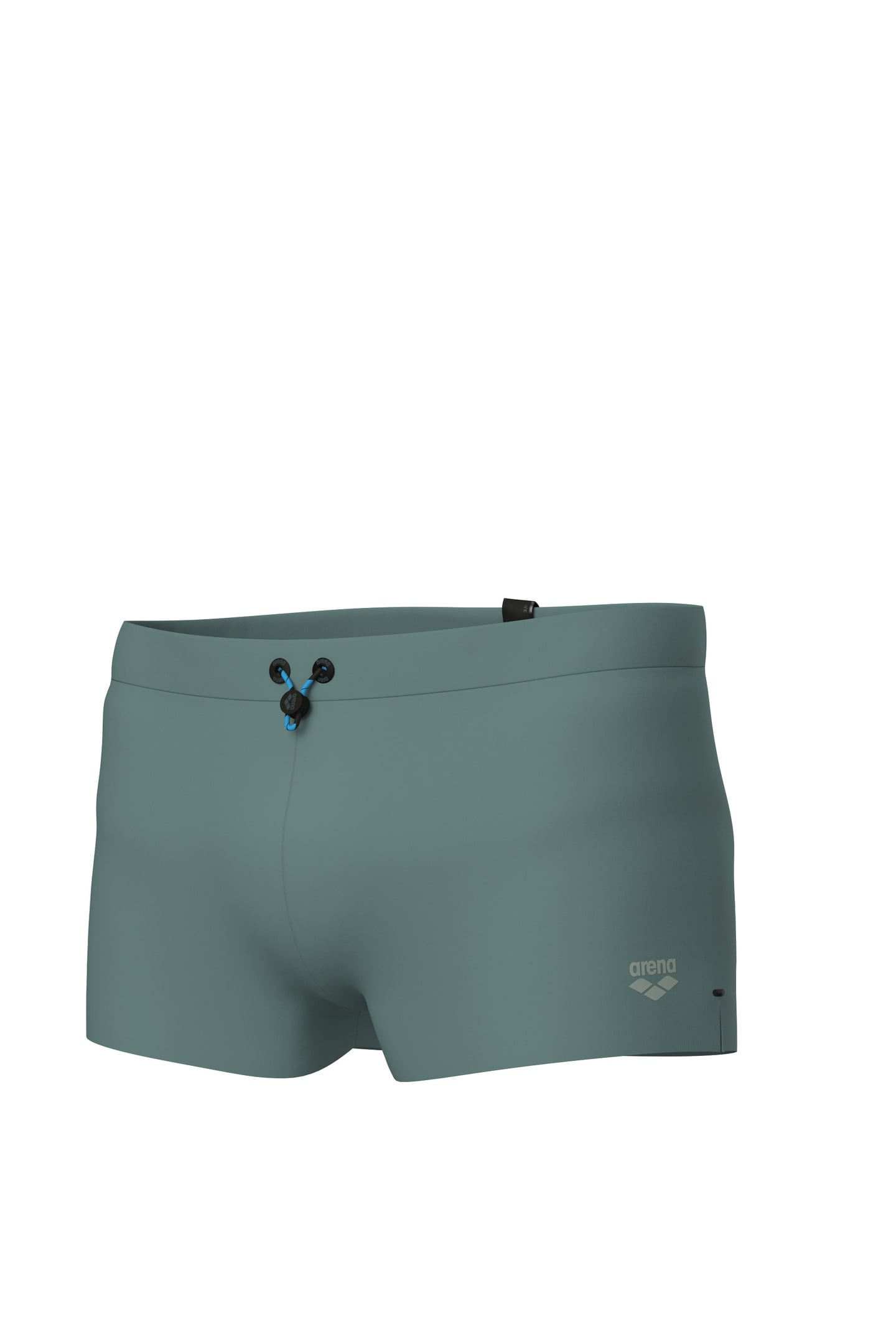EVO SWIM SHORT SAGE 8