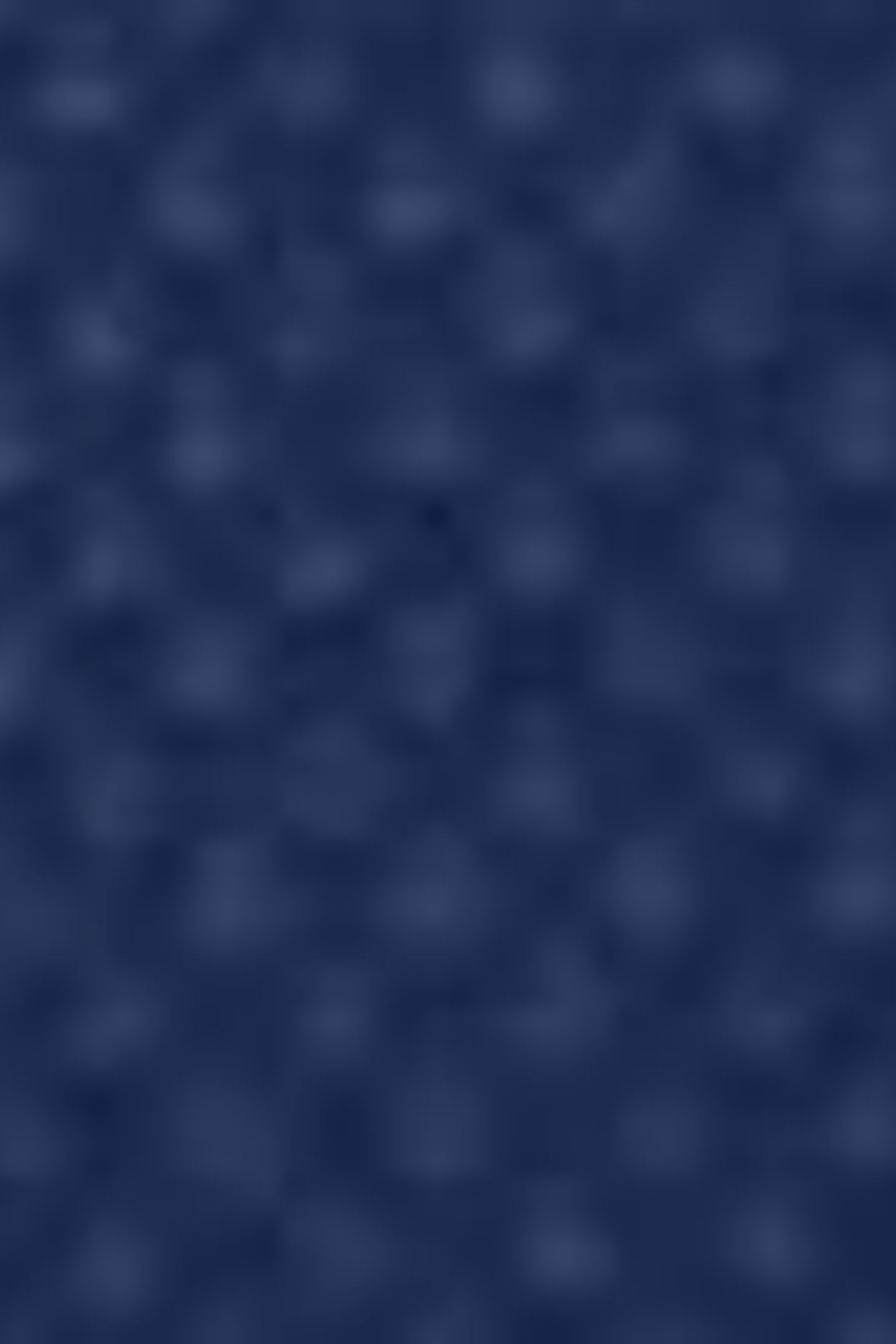 BASIC BACKPACK SODALITE BLUE 3