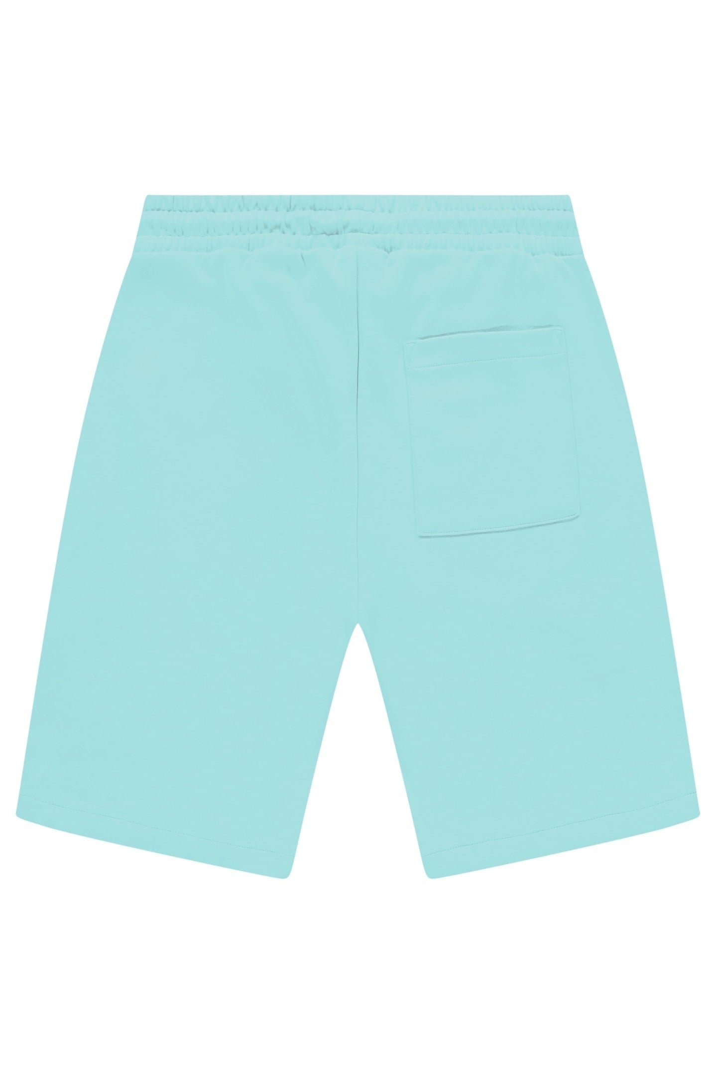WALL SHORT MINT 3