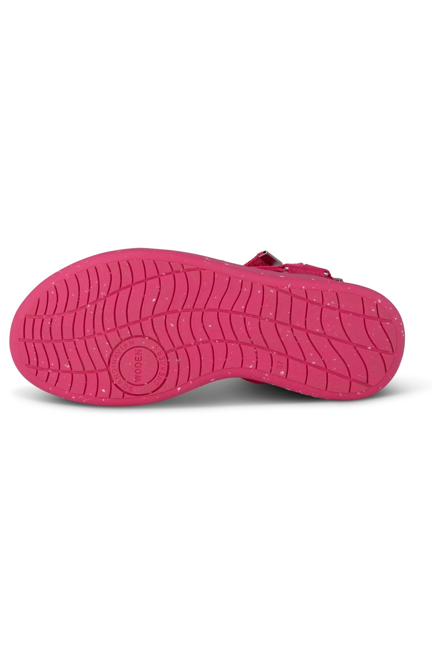 LINE FRUIT PITAYA 8