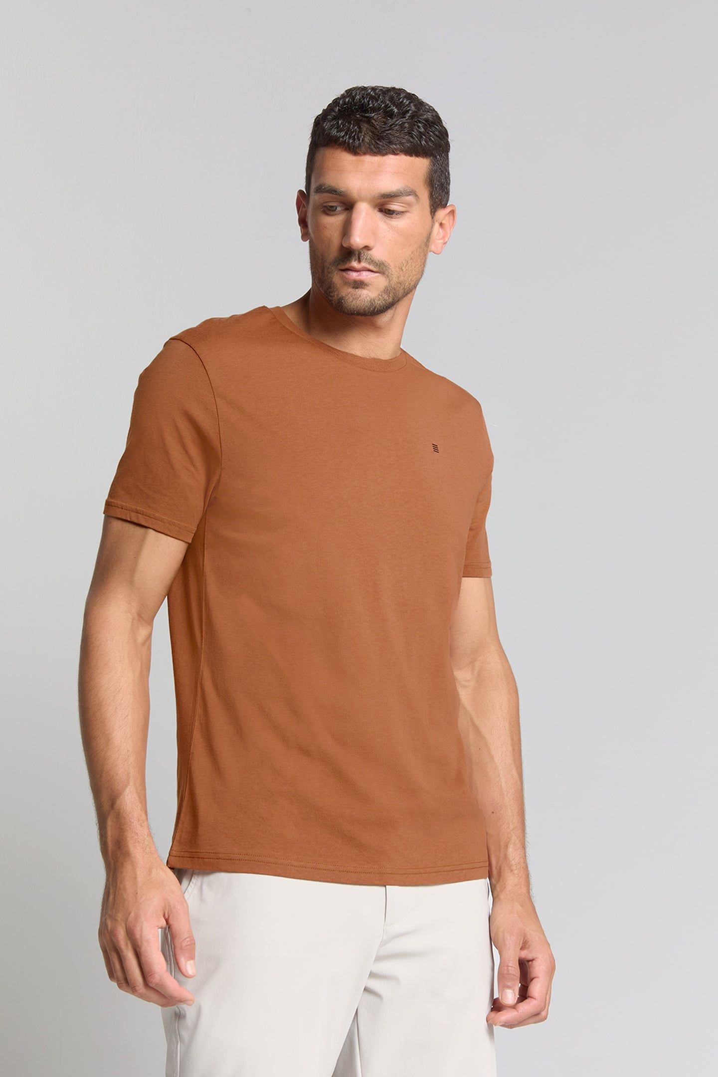 T-SHIRT CREWNECK SOLID BASIC CARAMEL 2