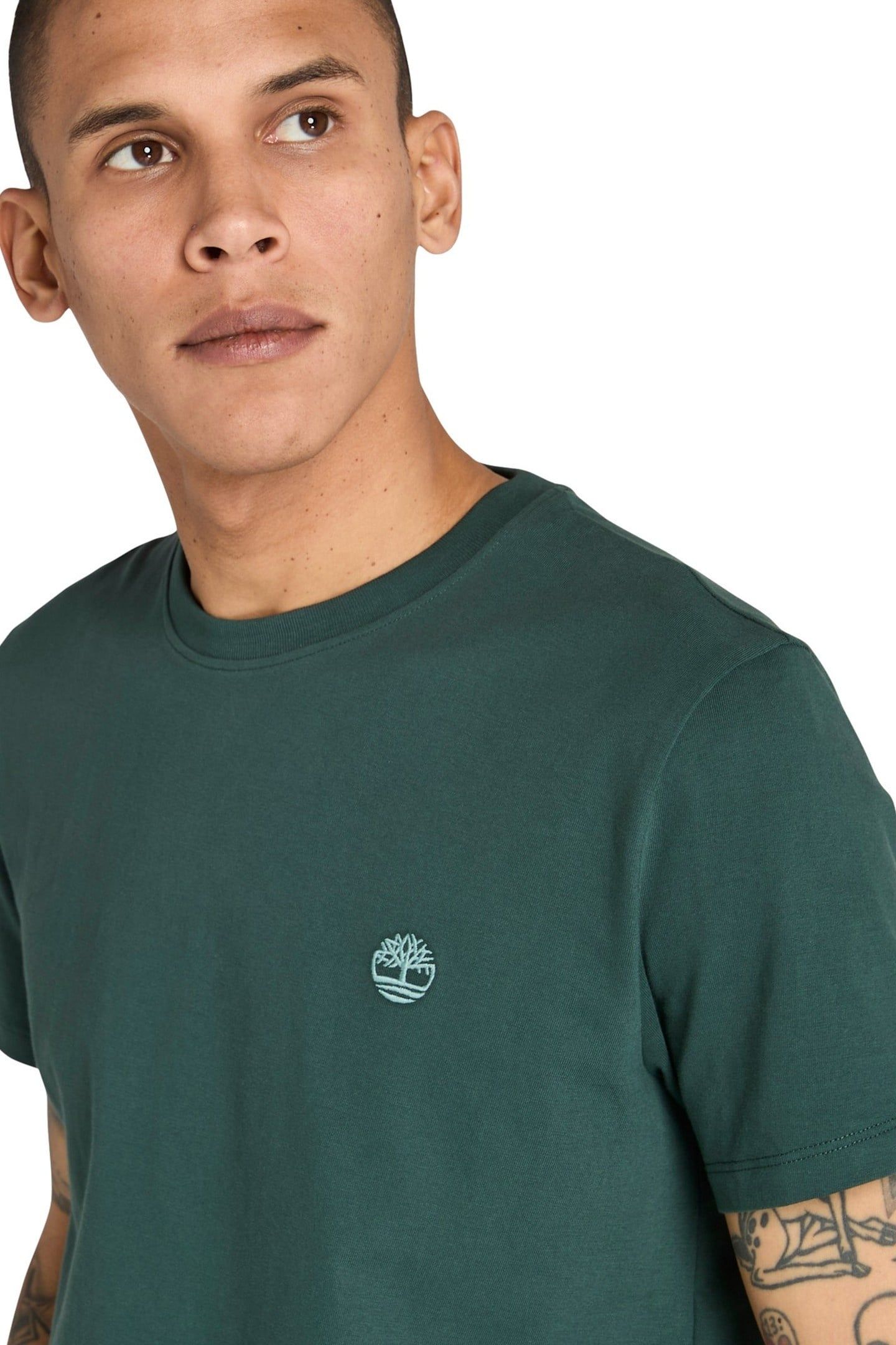 DUNSTAN RIVER SHORT SLEEVE TEE GREEN GABLES 4