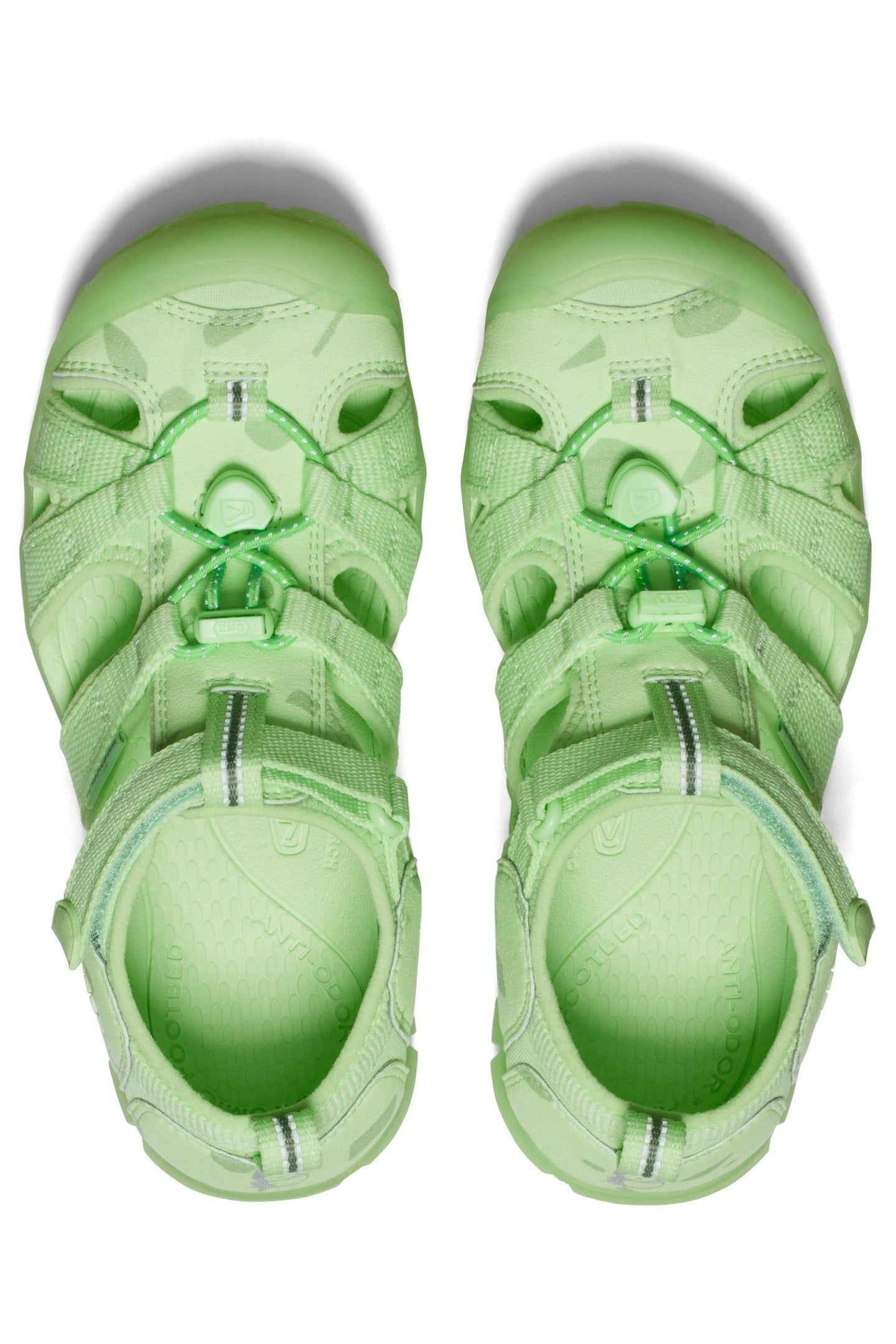 SEACAMP II CNX PARADISE 5