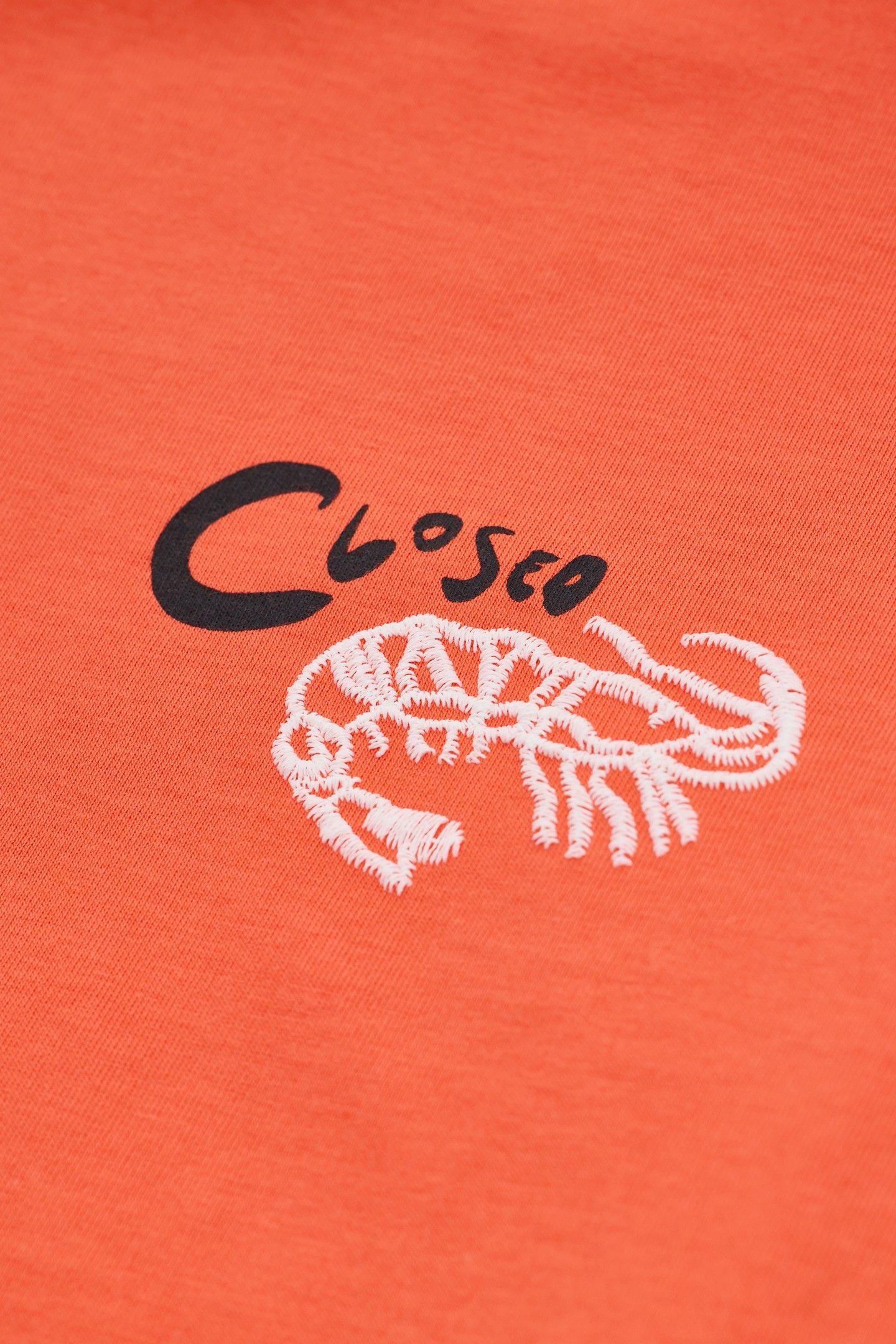 EMBROIDERED T-SHIRT WASHED RED 4