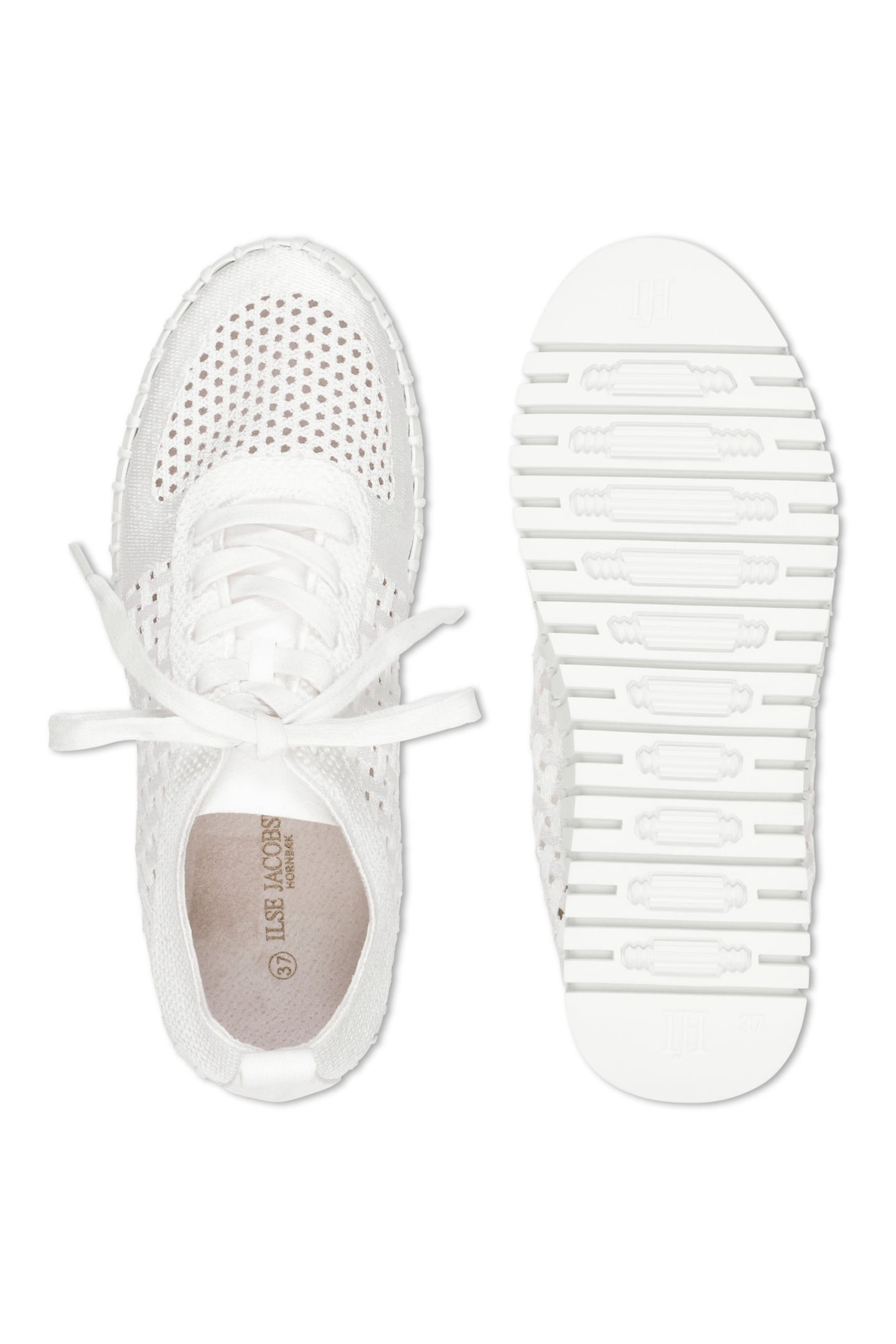 TULIP4271 WHITE WHITE 4