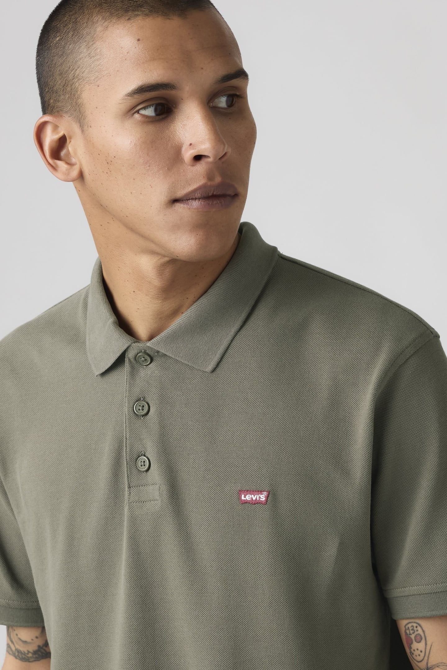 LEVIS HM POLO CLASSIC MULLED BASIL PIQU 6