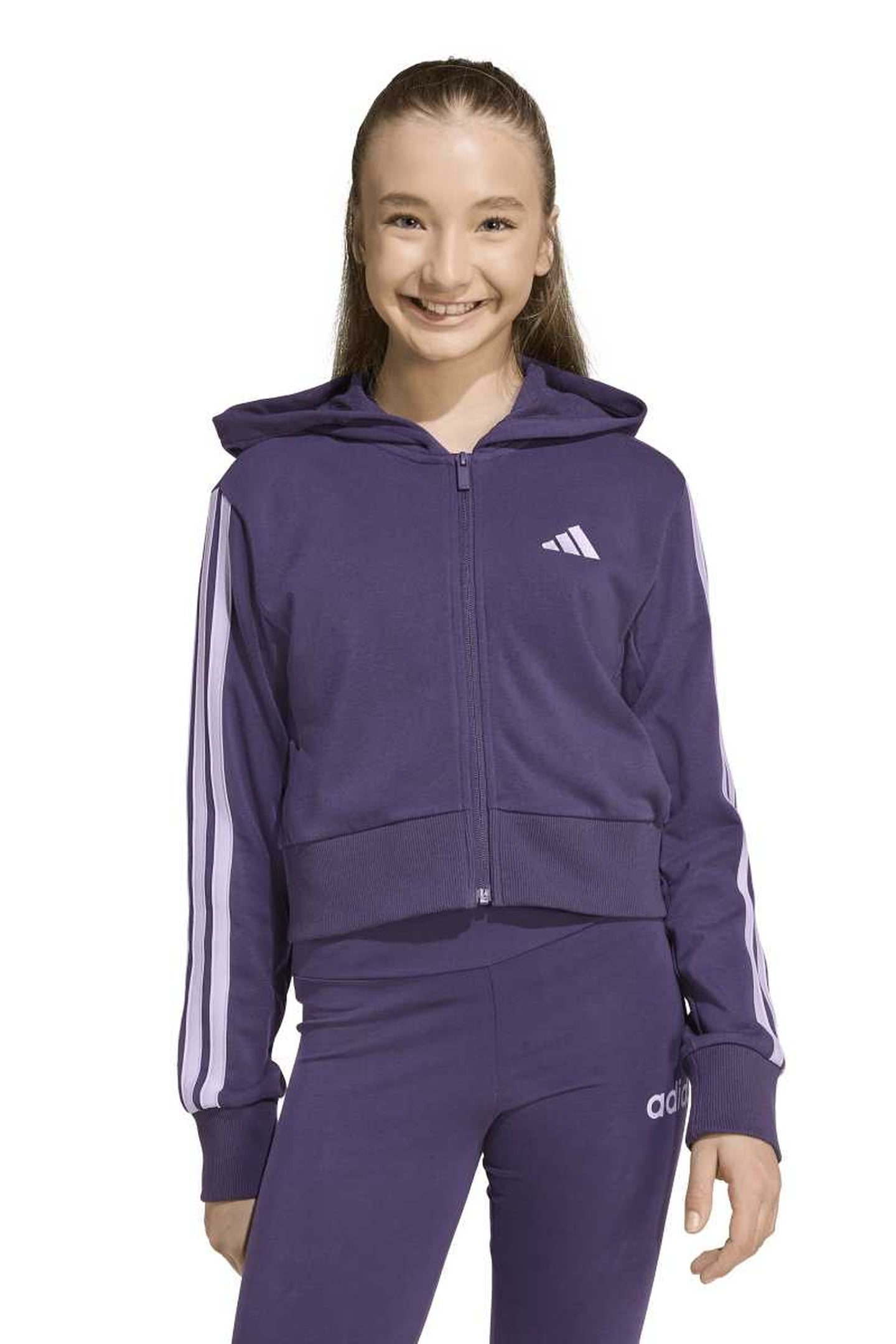 SPORTSWEAR ESSENTIALS FULL ZIP HOODIE AURORA PLUM 1