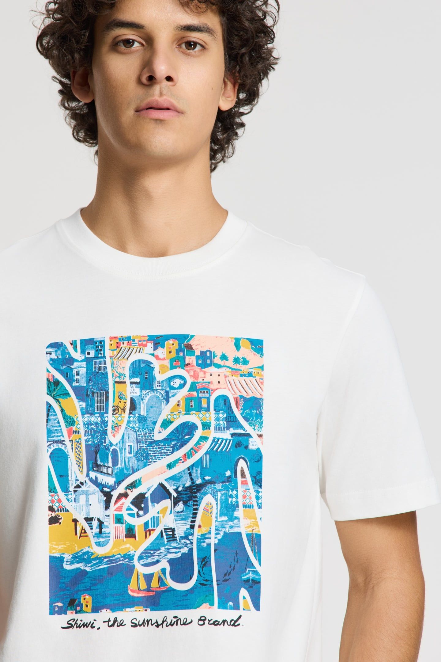 LIAM REGULAR T-SHIRT SHIWI ISLAND BLOCK WHITE 2
