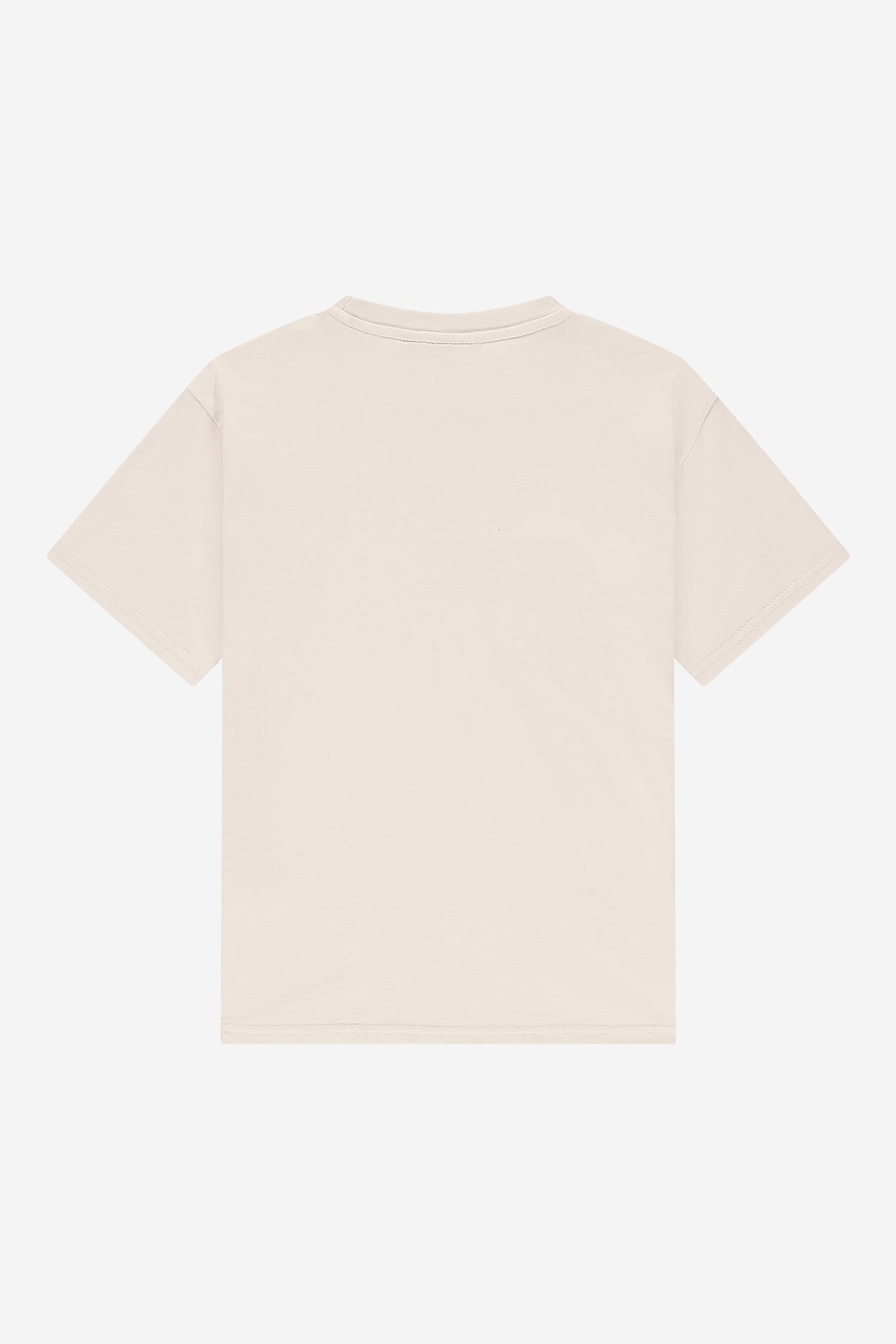 AACE T-SHIRT WOOD ASH 3
