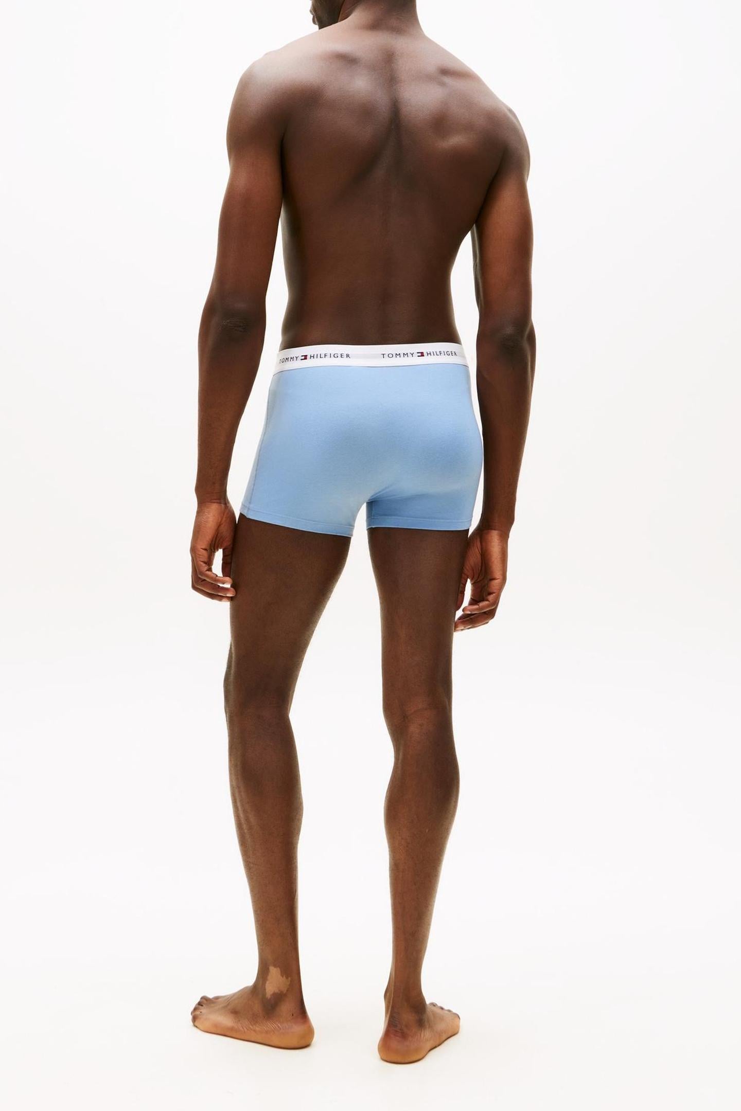 3-PACK TRUNK BRISK BLUE/BLACK/ICE HTHR 3