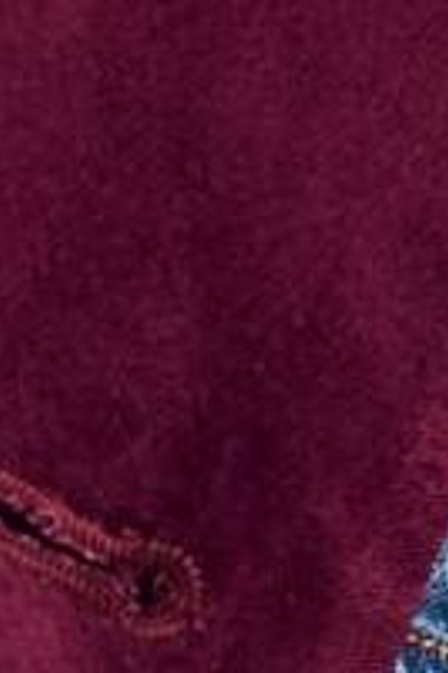 KAMILA VELVET COAT DARK PLUM 5