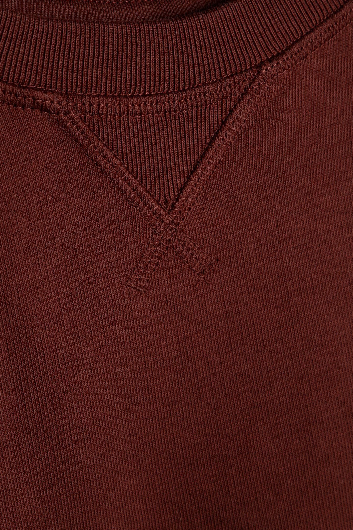 SALOMON SWEATSHIRT UNISEX BROWN 4