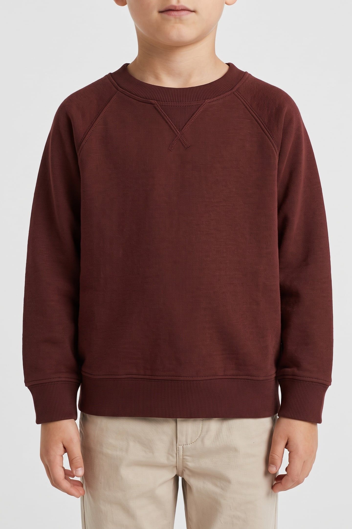 SALOMON SWEATSHIRT UNISEX BROWN 1