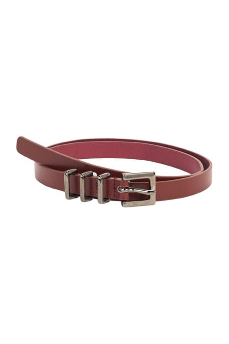 BELT ANCOLY PRUNE 1