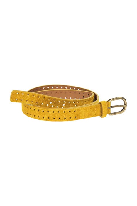 BELT PERSPICACE SAFRAN 1