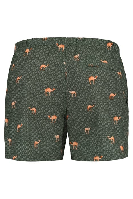 MEN SWIM SHORT DESERT CAMEL 4-WAY STRETCH CILANTRO GREEN 6