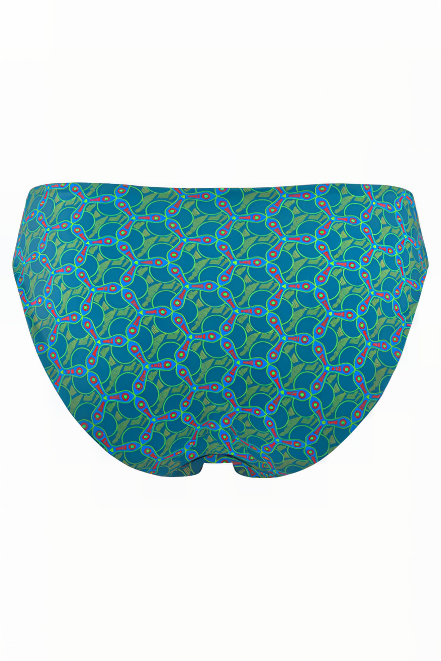 OCEANA LAGOON BLUE AND GREEN BRIEFS 5