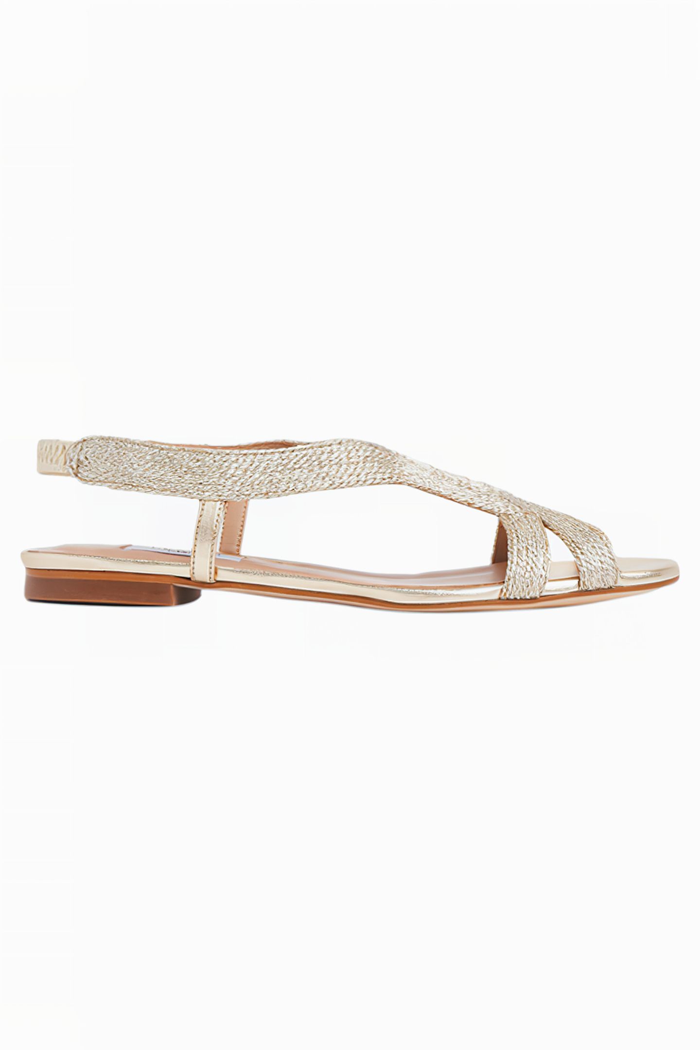 RENEE SOFT GOLD 1