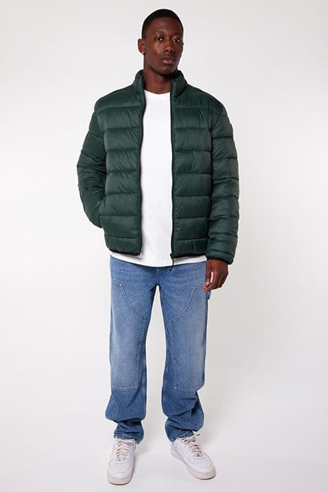 JIM GREEN 2