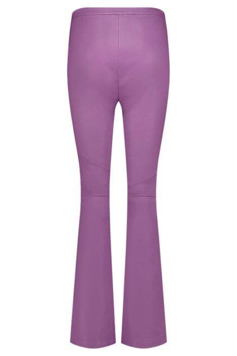 NEW ORGANDI WILD ROSE 4