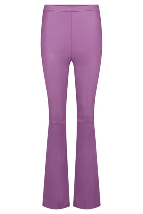 NEW ORGANDI WILD ROSE 3