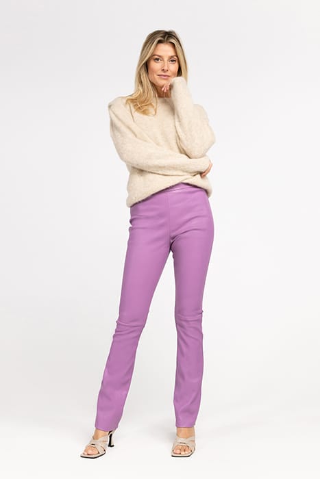 NEW ORGANDI WILD ROSE 1