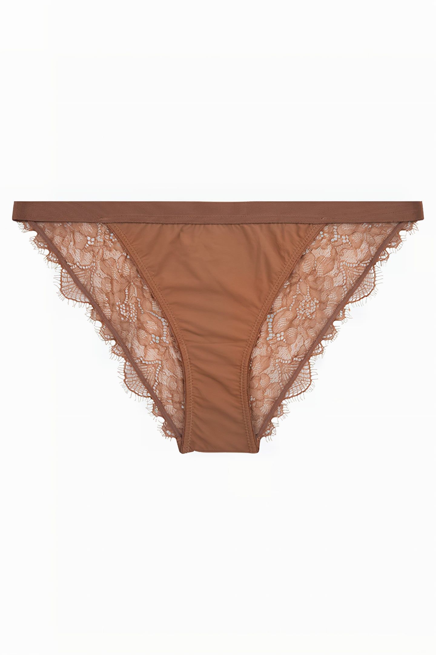 WILD ROSE BRIEF MBROWN 2