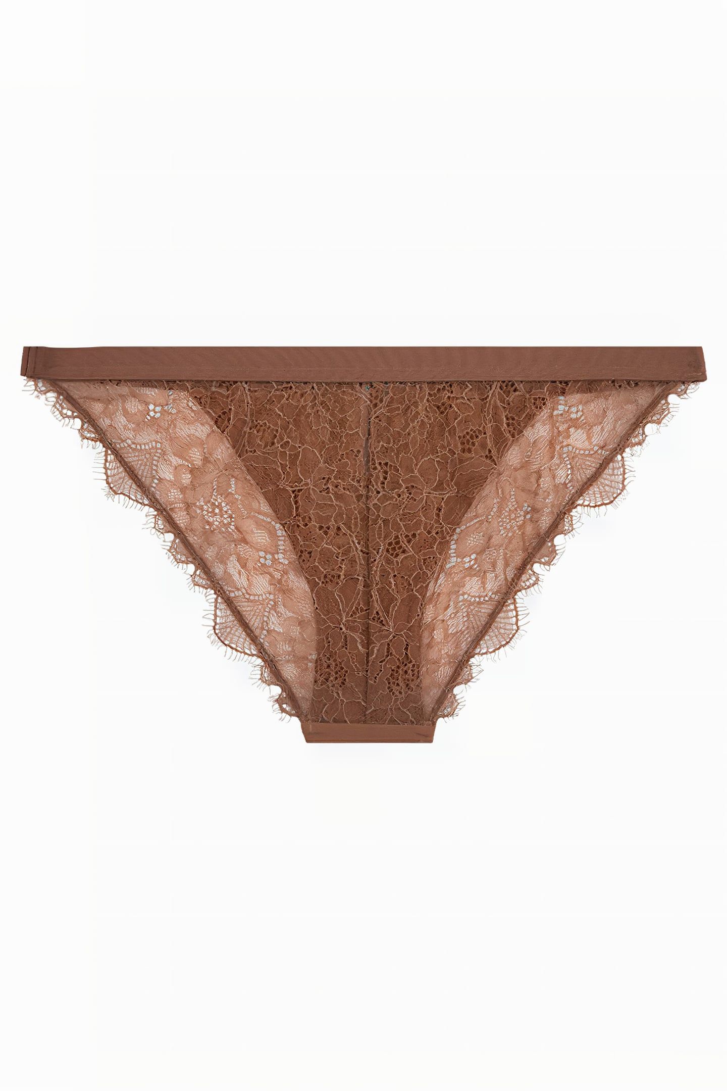 WILD ROSE BRIEF MBROWN 3