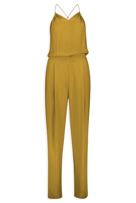 LILIA OLIVE 3
