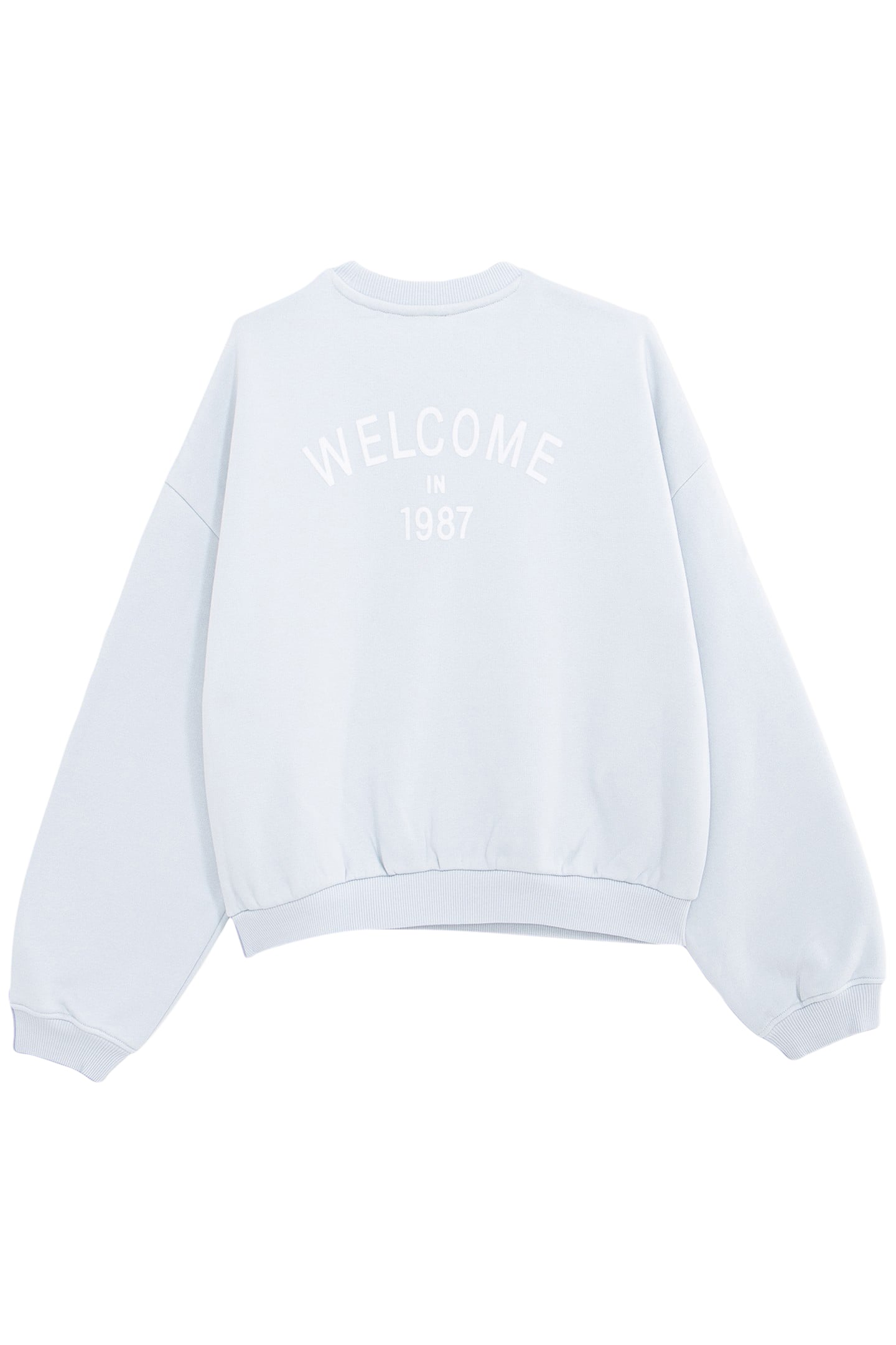 BLUE SWEATSHIRT WITH FLOCKED MESSAGE ON GIRL'S BACK 2