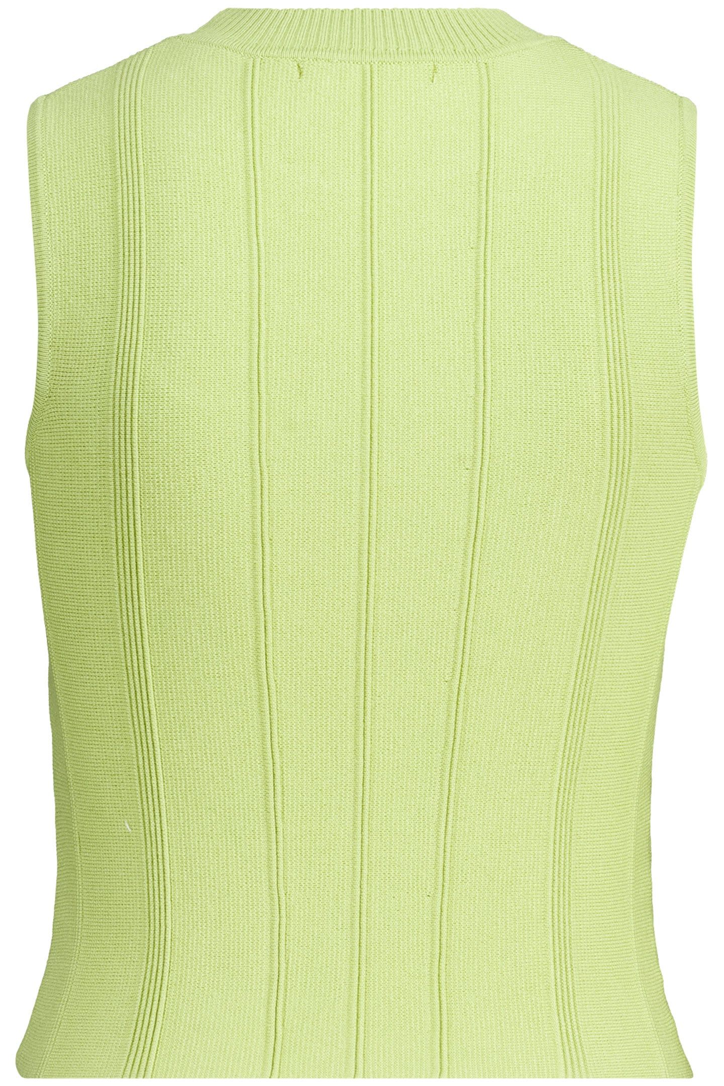 GIGI CACTUS 2