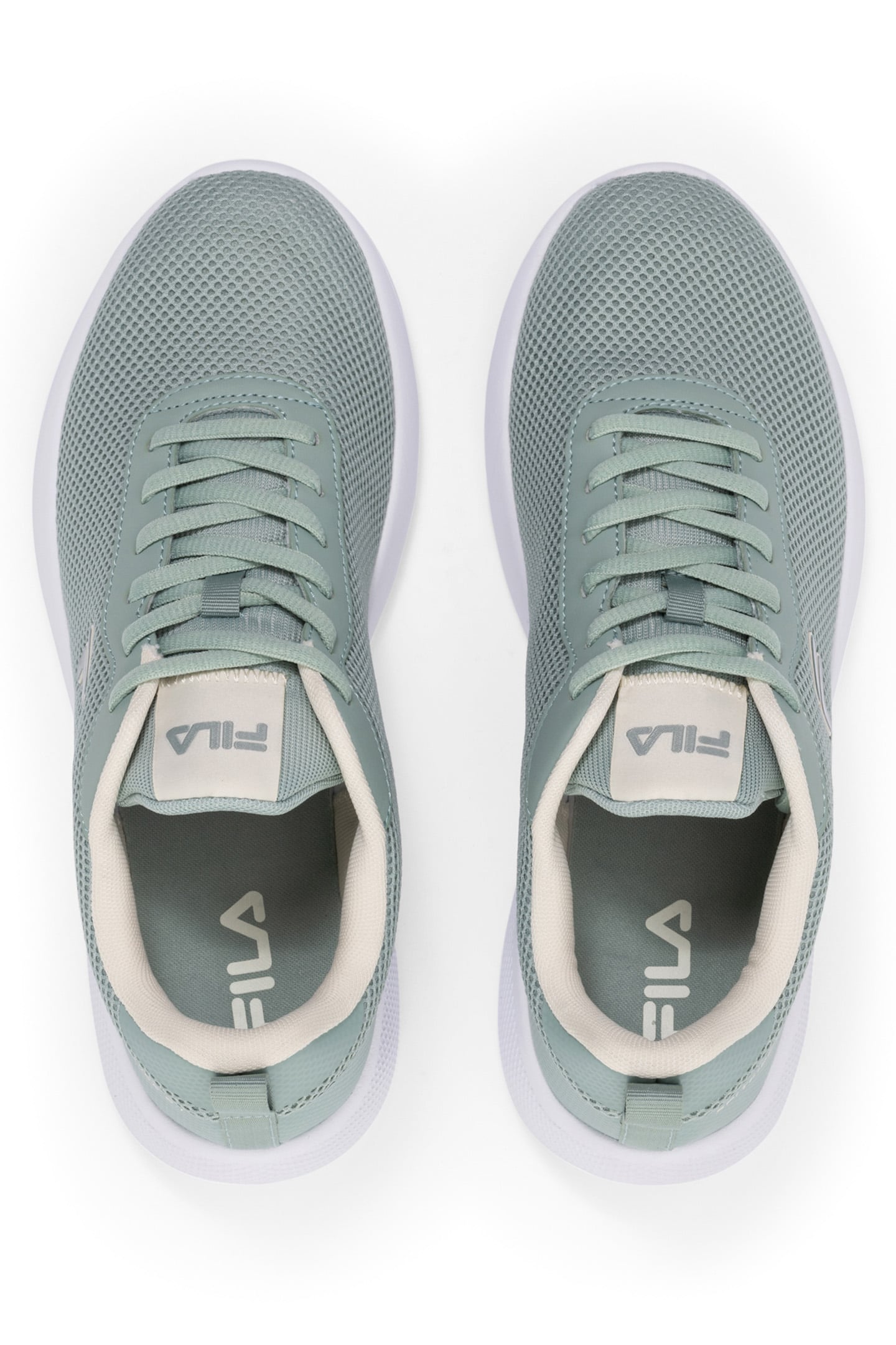 SPITFIRE WMN JADEITE-TURTLEDOVE 3