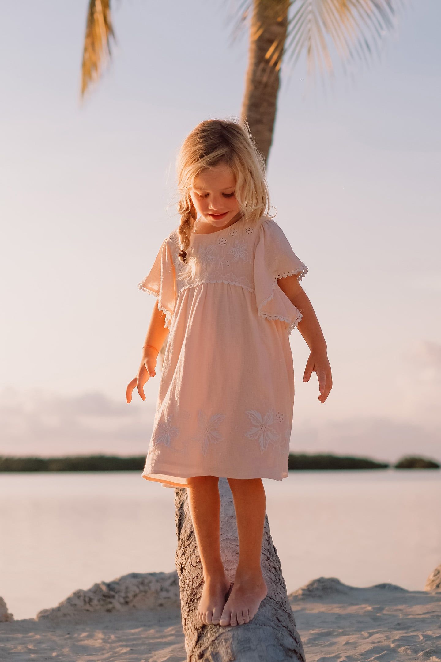 DRESS ESCA BLUSH 4