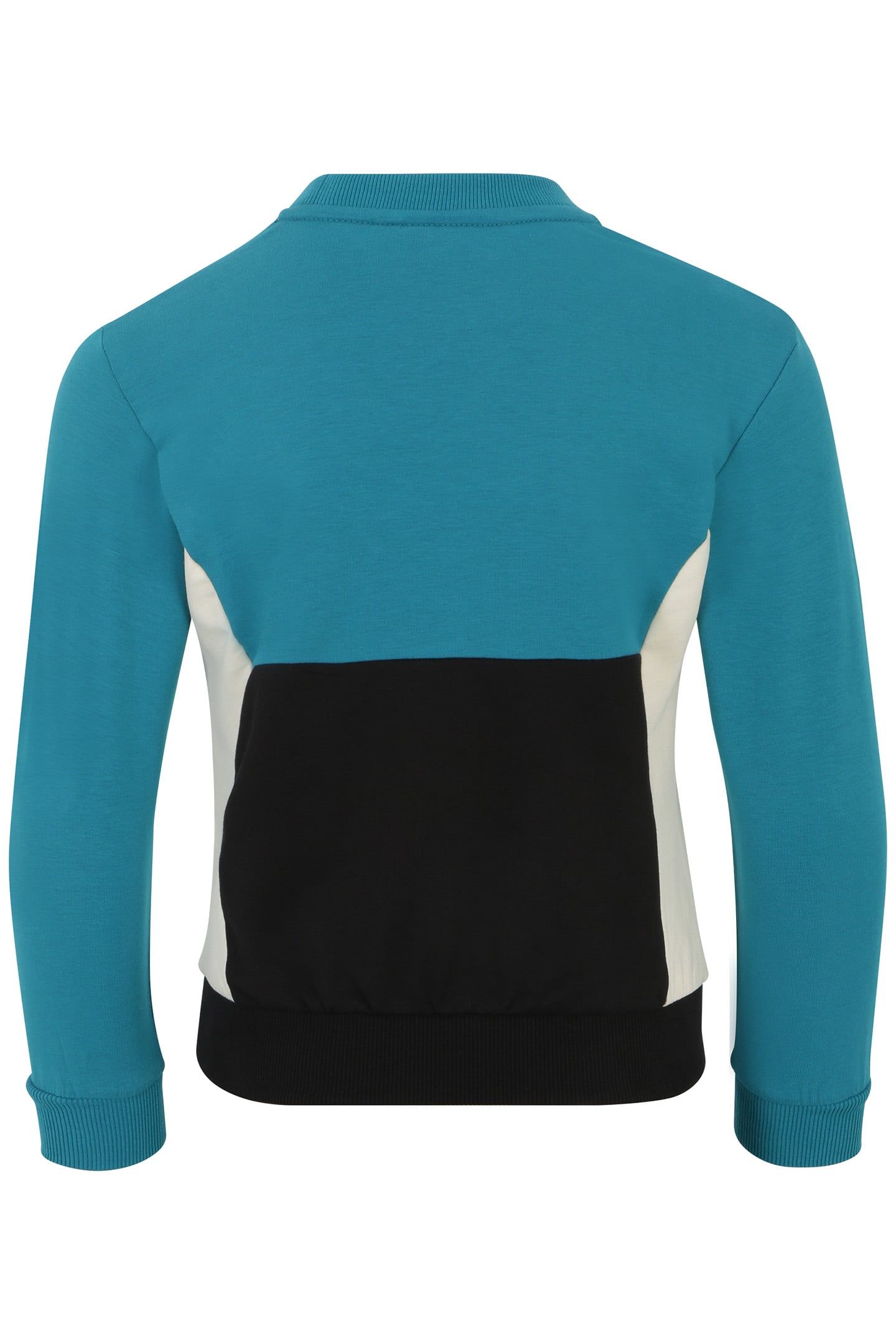 UNISEX LAMBERTSBERG BLOCKED CREW SWEAT EXOTIC PLUME-BLACK-AN 2