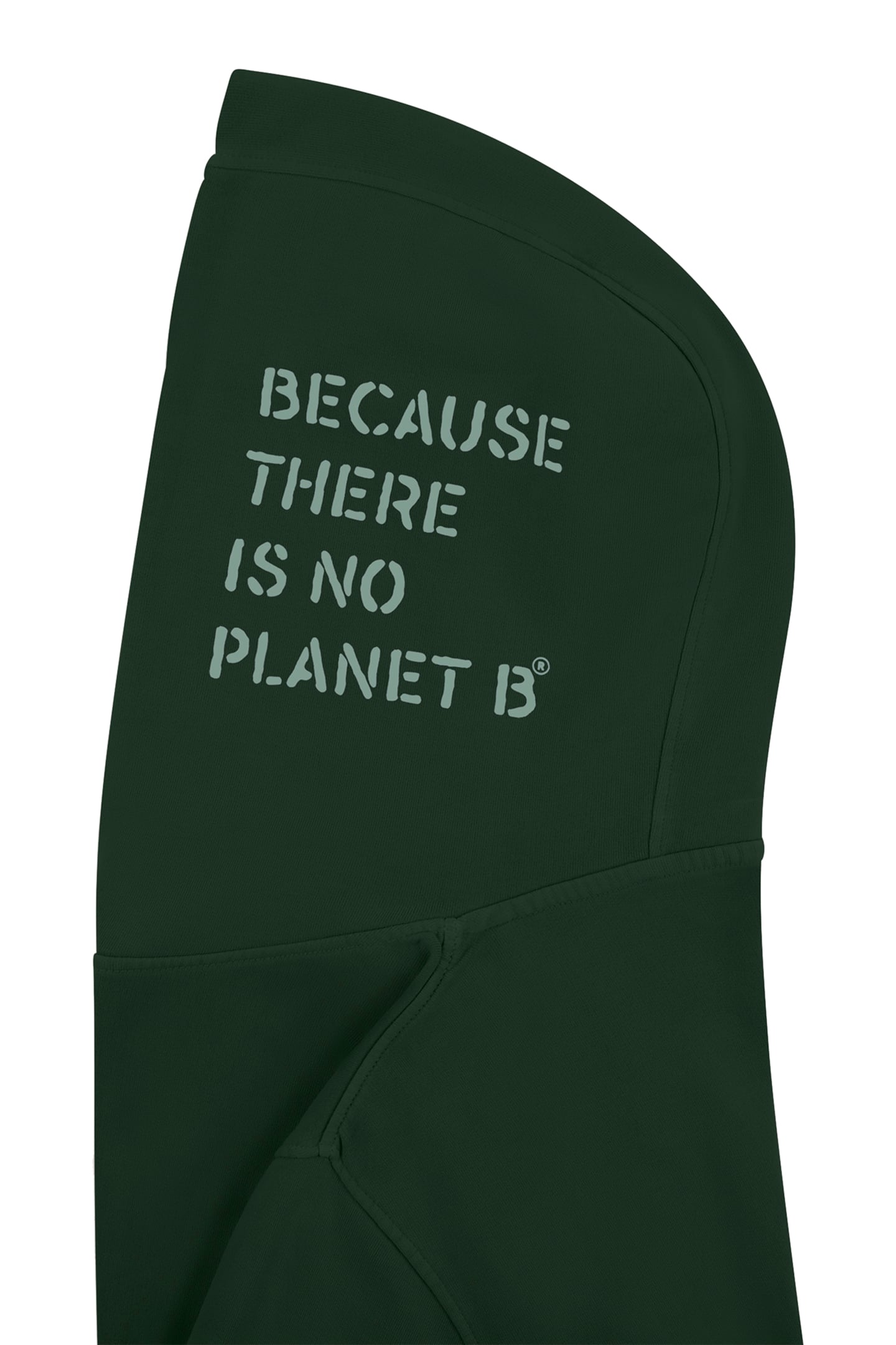 DELMARALF SWEATSHIRT KOREAN GREEN 3