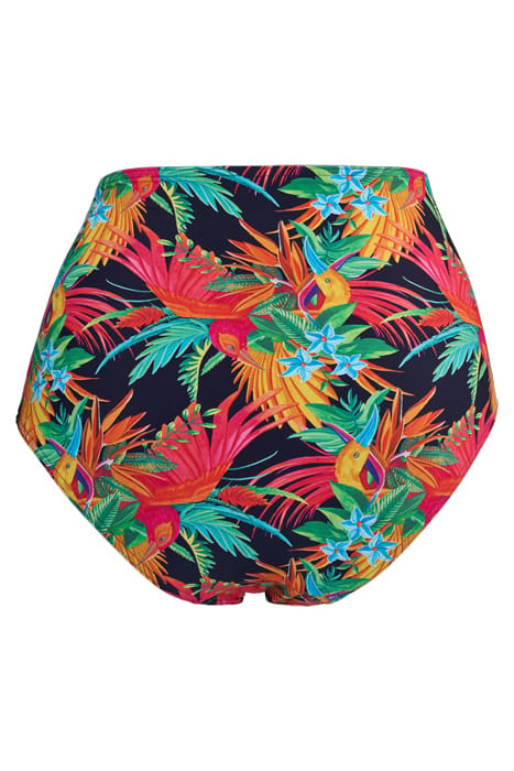 HULA HAKA RAINFOREST AND GOLD BRIEFS 4