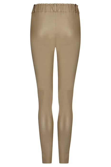 PAXYN GOLDEN GLO 2