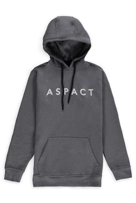 CANNES HOODIE QUICK SILVER 1