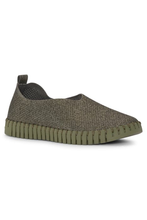 TULIP3272GB FLATS ARMY 6