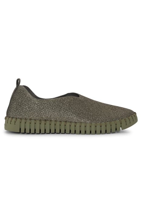 TULIP3272GB FLATS ARMY 1