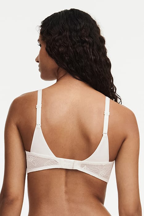 ORCHIDS BEIGE 2