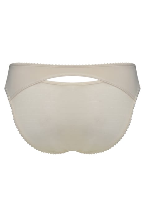 THE MAURITSHUIS IVORY BRIEFS 4