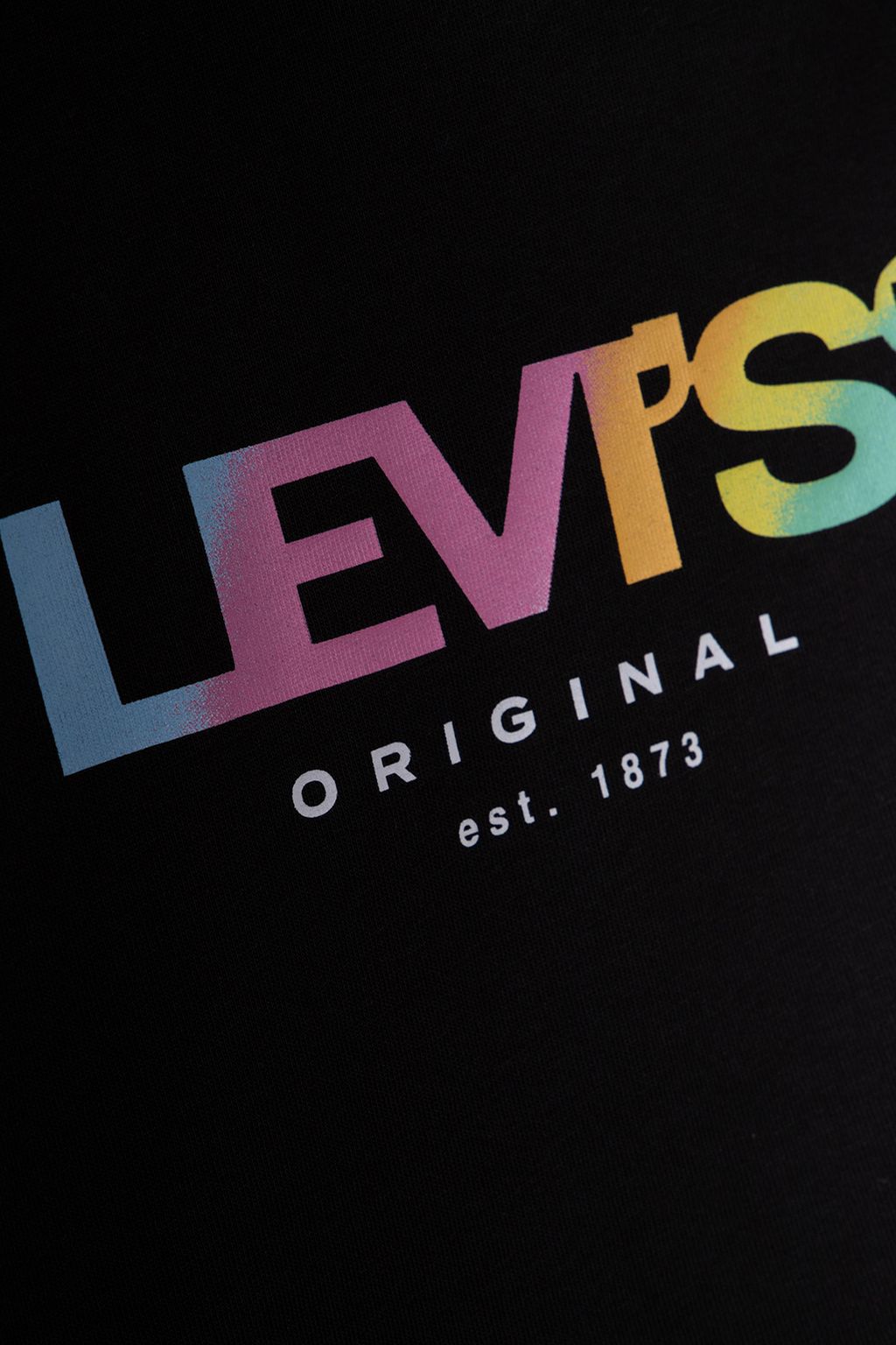 THE PERFECT TEE GRADIENT SSNL LOGO 4