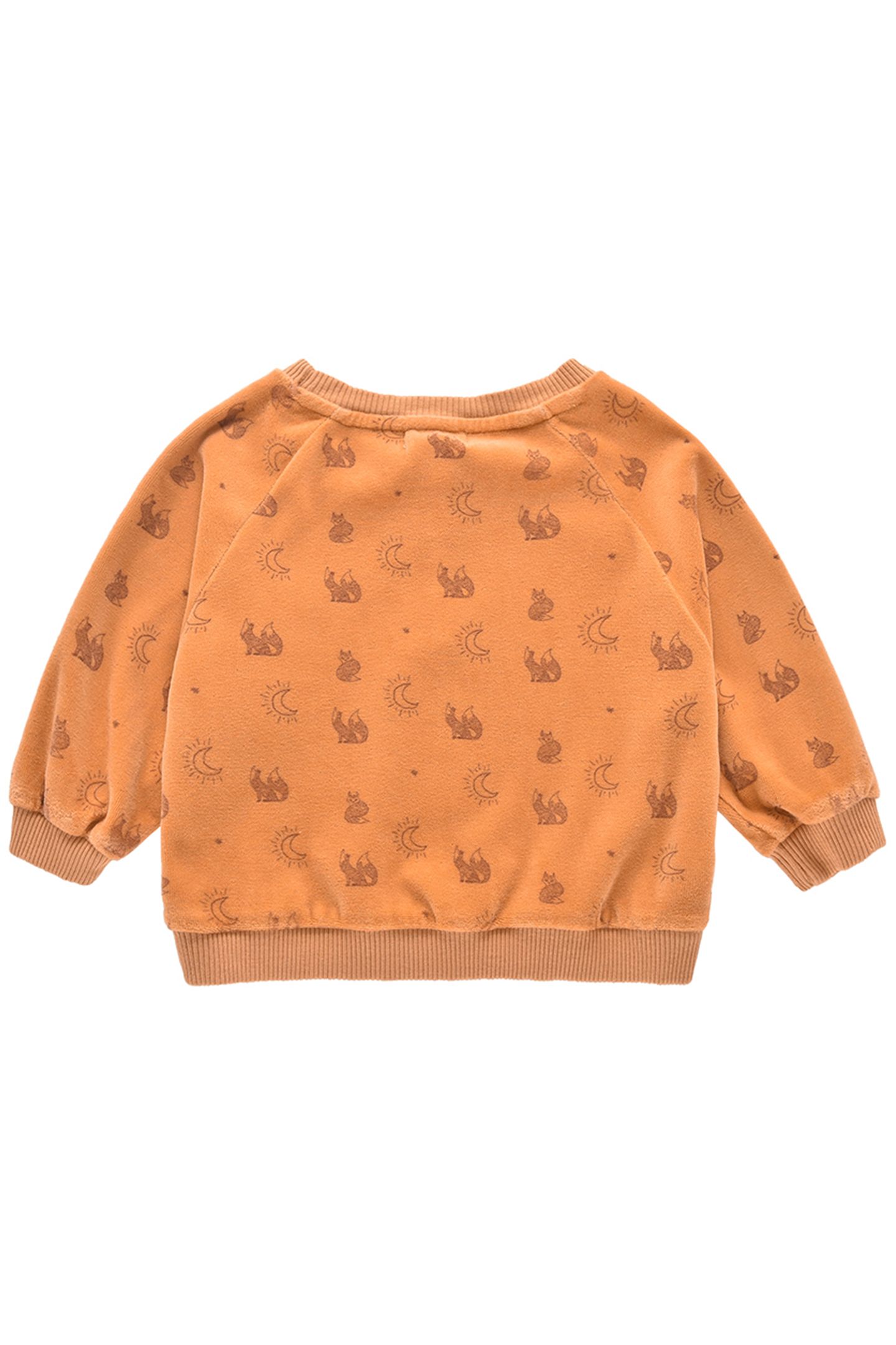 SWEATSHIRT SAMUEL NUTS 2