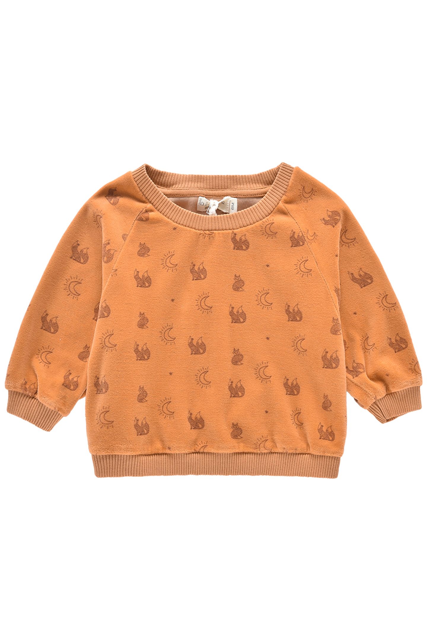 SWEATSHIRT SAMUEL NUTS 1